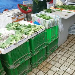 南通市餐饮平台电话，连接美食与需求的桥梁