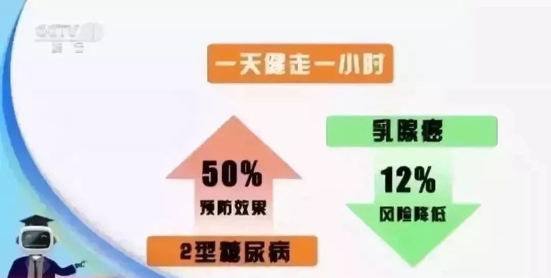 河北省餐饮分配规定，塑造公平、可持续的餐饮市场